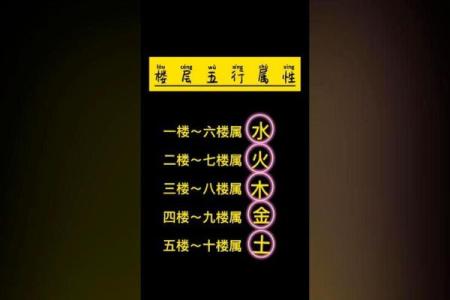 水命与木命的财运比拼：谁才是真正的“财星”？