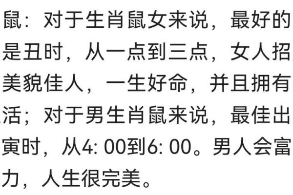 探索十二生肖的命理智慧与人生启示