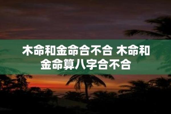 探究二金命与二木命：命理中的精彩组合与深刻意义