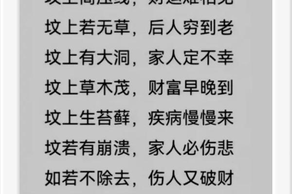 探索瑞建之道：从乾坤二命看人生智慧与命理启示