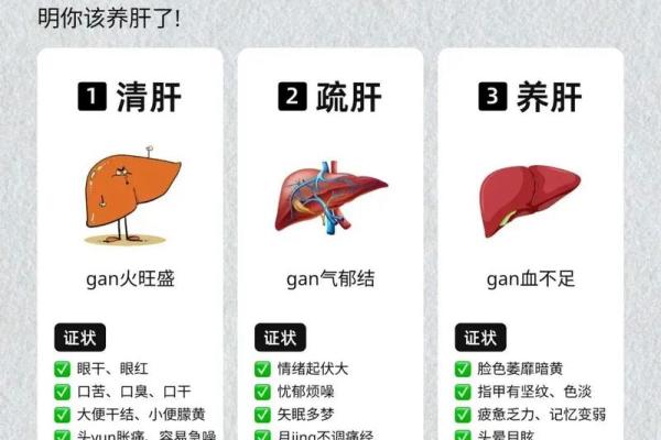 养肝与养命：让你健康长寿的秘密武器