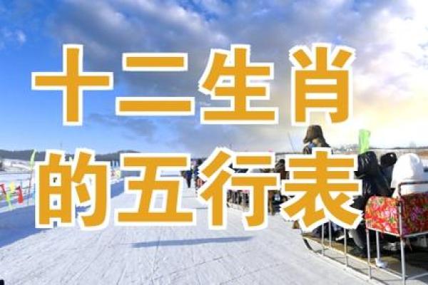 探讨生肖与五行命理的深刻关联与人生影响