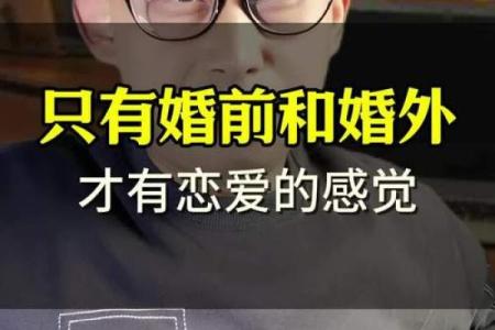 为什么人们都惜命不离婚？探寻婚姻背后的深意与情感