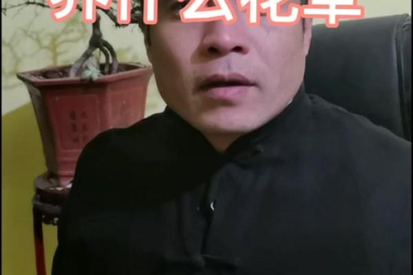 探索石榴木命：与怎样的人搭配才能更好地人生运转？