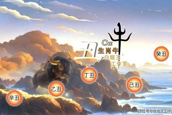 正月出生的牛命：性格特征与运势分析