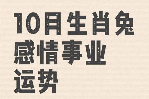 兔年出生的鼠兔命运揭秘：勇敢与智慧的完美结合