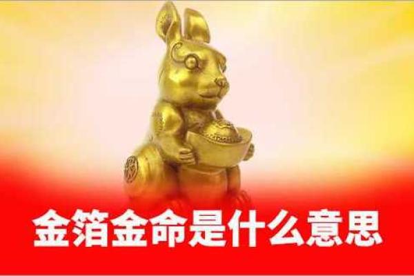 探究金命之道：为何金命是最好的命运选择？