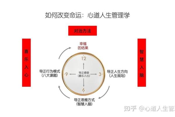 探究孩子命好之道：从哪些属性入手提升命运发展？