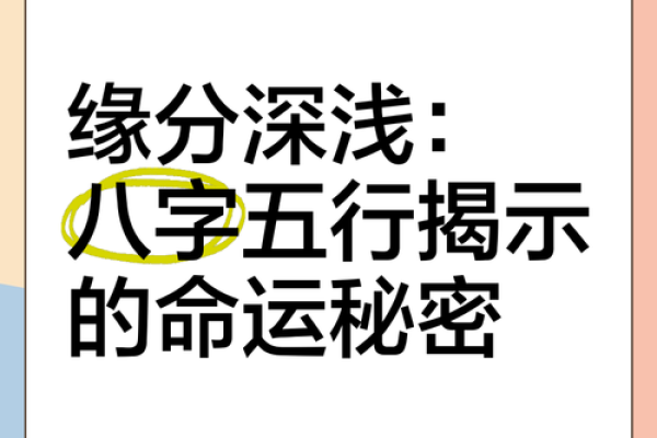 通过八字揭示命运：走进你的命理世界