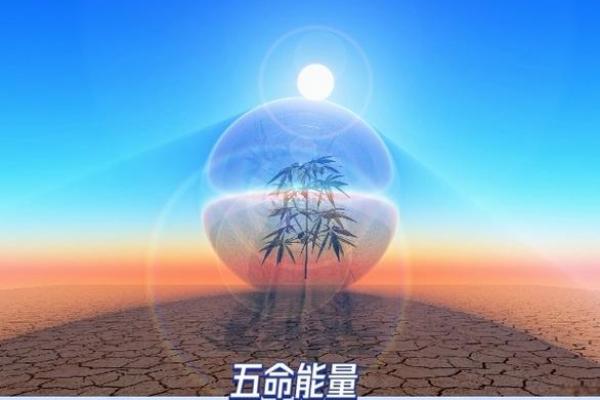 探寻命理学中的幸运之道：什么命最好？