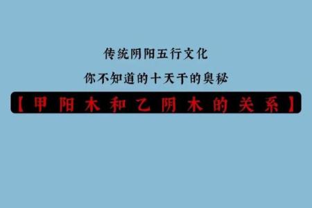 通过观察命理，探寻人生奥秘与命运走向的深邃之旅