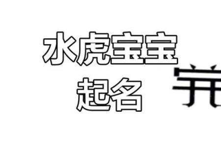 水虎命女孩起名攻略：从五行特征看潜在优雅与智慧