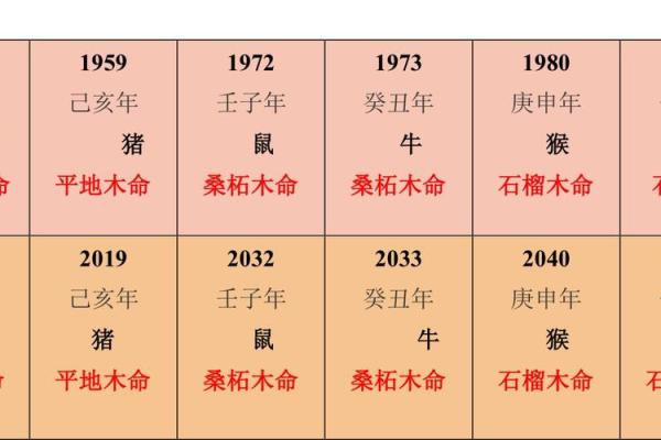 水命与最佳婚配：解锁幸福生活的秘诀