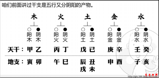 探究木命之人：最适合的命理搭配与生活方式