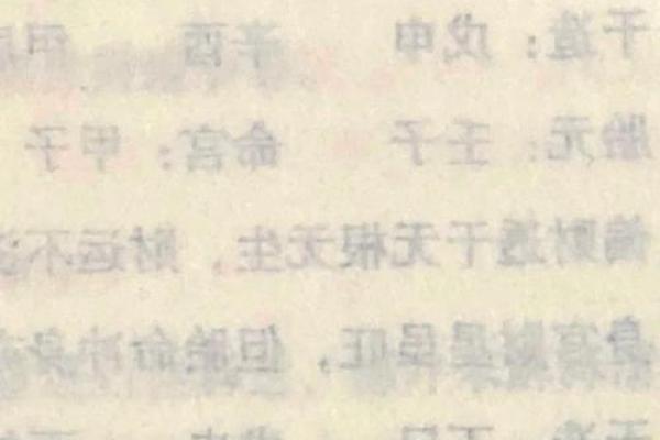 探寻命运的奥秘：解析“任途之命”的深刻含义与启示