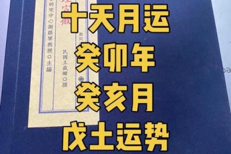 探秘农历十一月：这一月份的命理与生活智慧