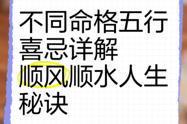 探秘人生命格：深入了解阴命的奥秘与影响