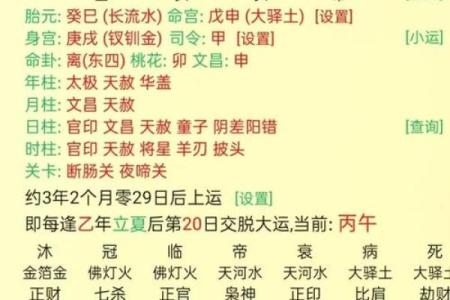 探索男命八字中的官杀印格局：性格与命运的深度解析