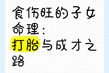 探索95命格：命理中的独特精髓与生活启示