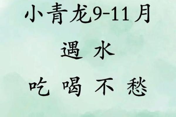 水命人取名指南：如何为水命人选择合适名字？