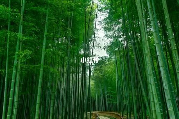 乙卯大溪水命：探索命理背后的深意与人生风景