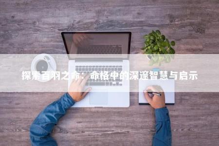 探索百羽之命：命格中的深邃智慧与启示