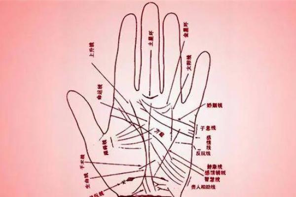 掌纹中的A字命理解析：你具备哪些独特的命运特征？