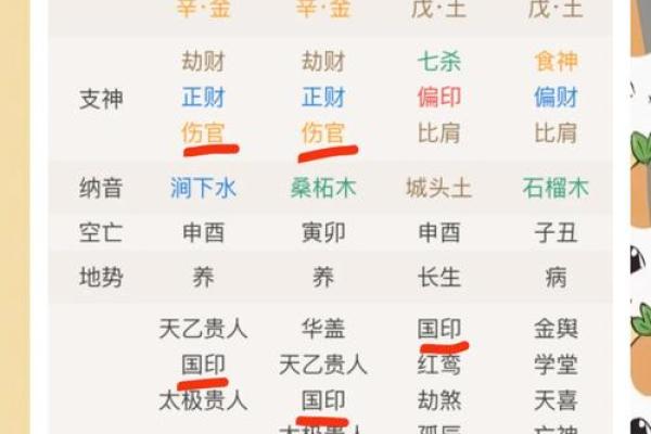 探索命运的奥秘：从命理看人生的选择与运势