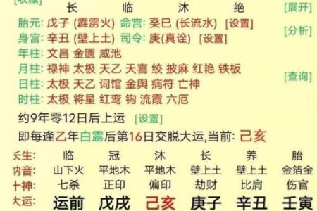 阳命与阴命的区别：命理中的性别与能量对比