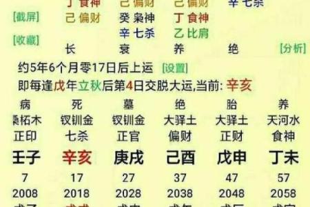 阳历8月4日出生的人命理解析：深度剖析你的命运之路