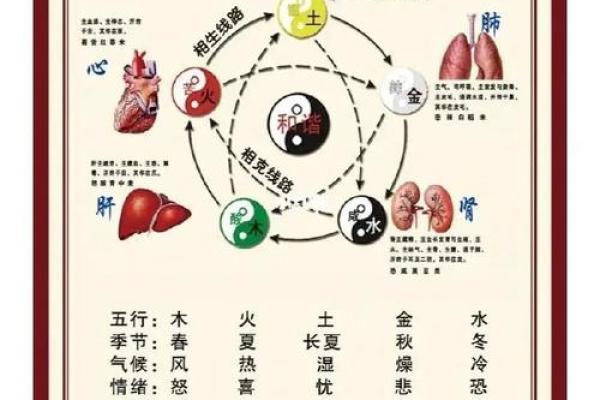 五行木旺缺水的命格解析：如何平衡五行，提升生活品质？