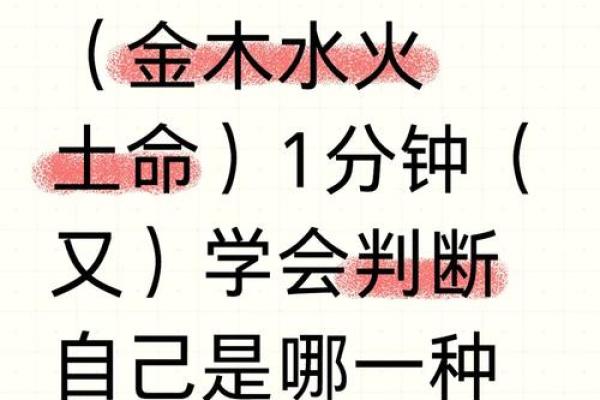 探索木命火命：你属哪个生肖，命理解析揭示人生奥秘！