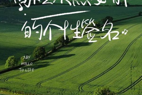 探寻“无命无命”的深意：生活的真谛与哲思之旅
