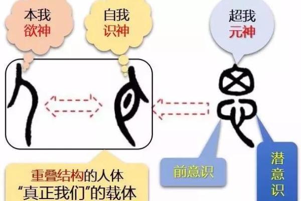 探寻心灵的依靠：那药，究竟是指什么？