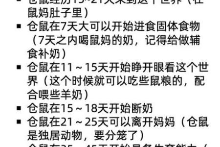 谈谈鼠年宝宝的命运与性格特点