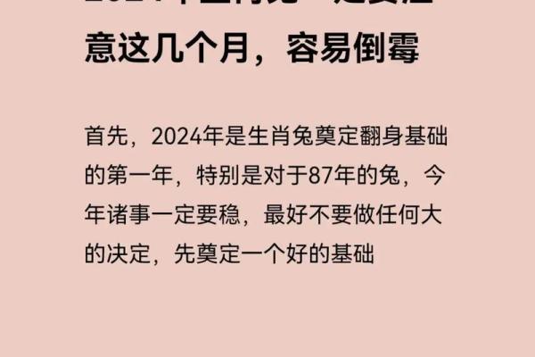 四十八岁属兔的命运解析：从生活到事业的全面剖析