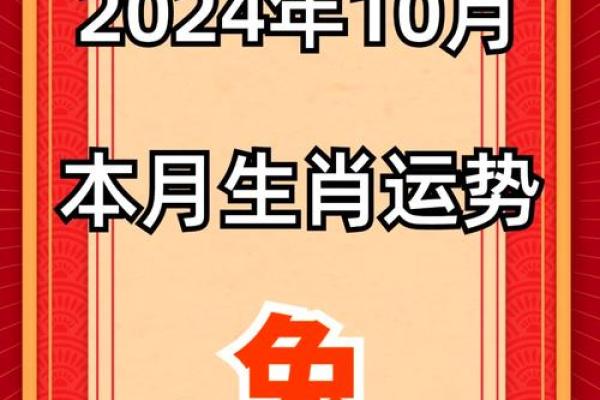 四十八岁属兔的命运解析：从生活到事业的全面剖析