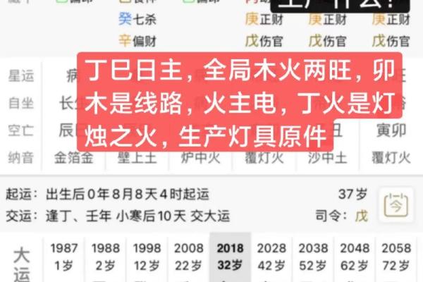 天干全水地支全火：独特命理的奥秘与解析