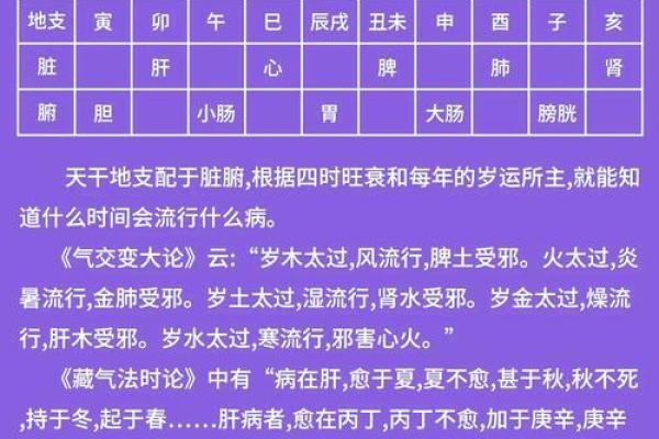 探索五行真谛：命理学中的五行与人生机遇