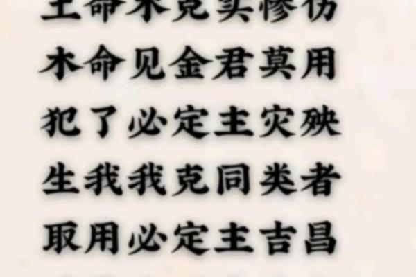 水命与木命的象征意义及其人生启示