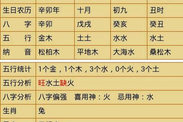 探秘五行之癸巳命：揭示命理背后的神秘力量与人生启示