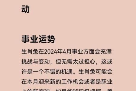 兔年出生的命运解析：了解属兔人的性格与人生发展