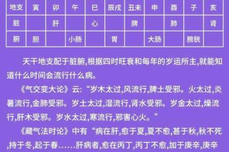 探索五行真谛：命理学中的五行与人生机遇