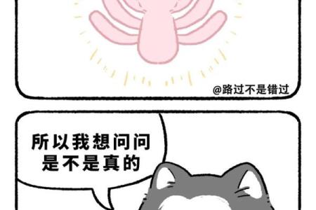 英文谚语“猫有九条命”的深意与启示