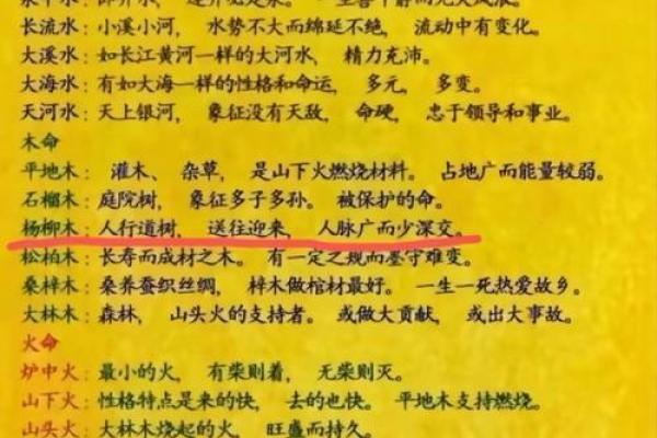 探寻纳音木命与金命：命理中的神秘力量与生活指导