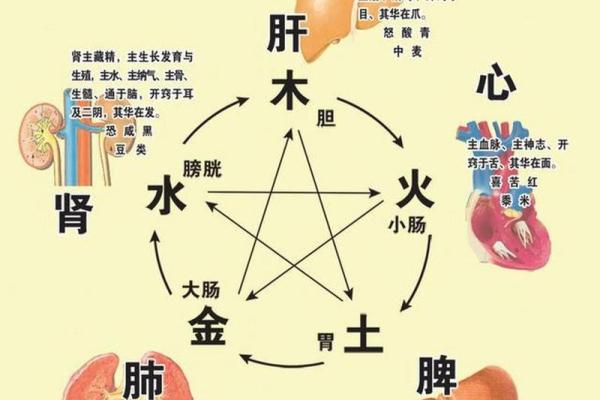 五行缺木的命理解析与生活智慧_1