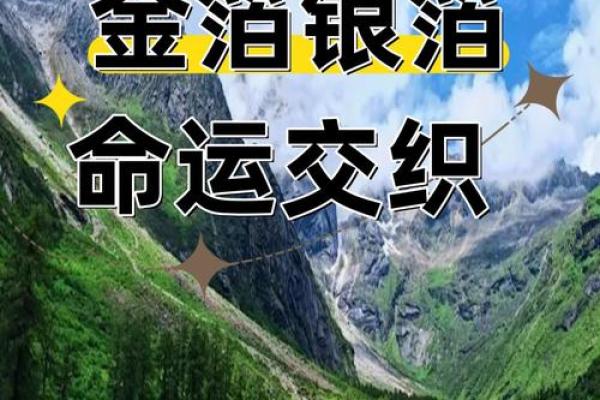 一辈子有五十一天：探讨命运与生活的神秘交织