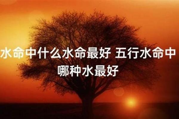 水命人和什么水命最相宜？解密水命人的命理幸福！