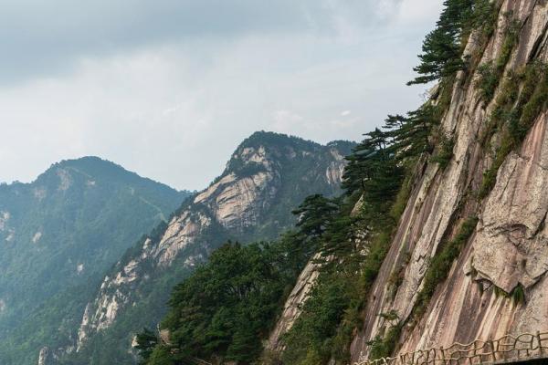 寅午戍命人最忌的山向与宜居环境探秘