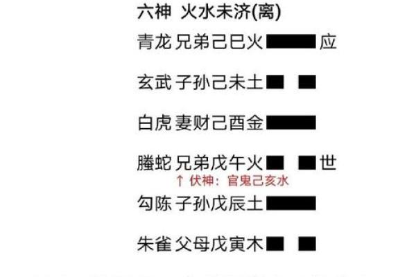 算命中的“鸟命”解析：寓意与人生启示